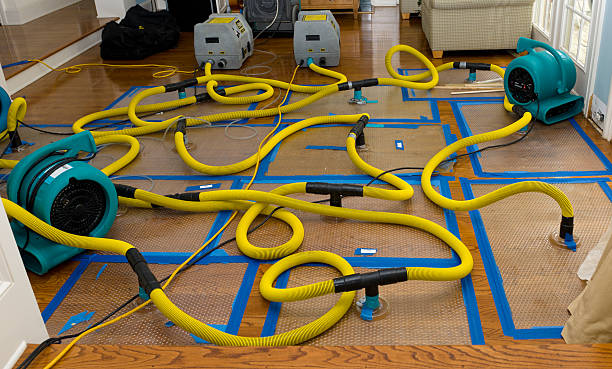 Professional Burst Pipe Water Damage technician working in Clear Lake, IA